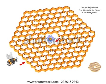 Best labyrinths. Can you help the bee find its way to the flower in the honeycomb? Logic puzzle game. Brain teaser book with maze. Activity sheet. Educational page for children. Vector illustration.