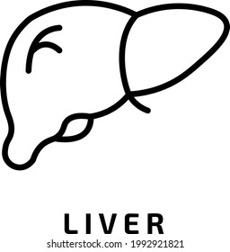 The Best Liver Organ Icon Vector, illustration logo template in trendy style