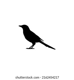 The Best Magpie Silhouette Illustration. Magpie Bird Silhouette Vector For Animals Design. Like symbols of birds, fowl, and the like.