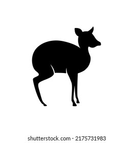 Best Mouse Deer Silhouette Vector For The Best Mouse Deer Logo And Mouse Deer Icon.