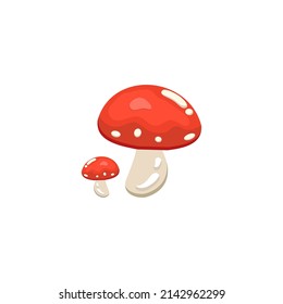 Best Mushroom Pictures With Vector Design Style. The best Mushroom design for all kinds of needs.