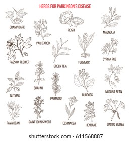 Best natural herbs for parkinson disease. Hand drawn vector set of medicinal plants