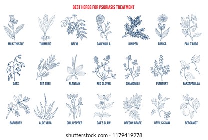 Best natural herbs for psoriasis treatment. Hand drawn vector set of medicinal plants