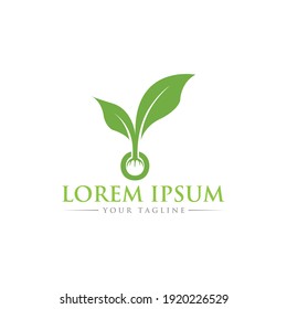 The Best Natural Leaf Logo Abstract Leaf logo vector Best Natural Logo Maker 