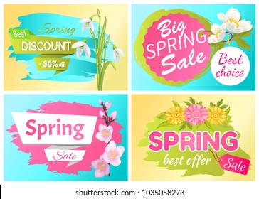 Best offer spring big sale advertisement labels snowdrop, anemone branch of sakura and daisy flowers vector. Promo stickers with springtime blossoms