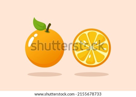 Best Orange Illustration Vector Isolated Image High Quality
