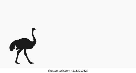 Best Ostrich Background Silhouette Vector Illustration For Design About Ostrich. For Example Ostrich World, Ostrich Website, And Many More.