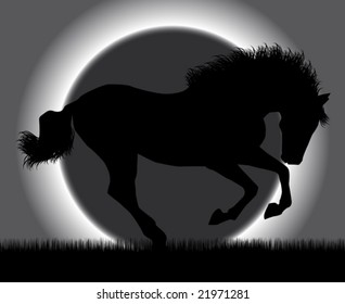 Best of the paces of horses, so beautiful and hardy, over wonderful sunrise.
