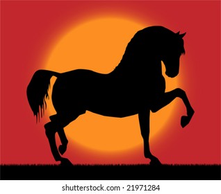 Best of the paces of horses, so beautiful and hardy, over wonderful sunrise.