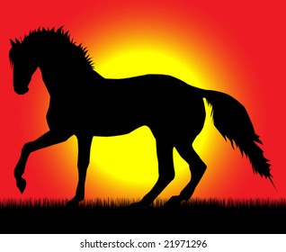 Best of the paces of horses, so beautiful and hardy, over wonderful sunrise.