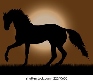 Best of the paces of horses, so beautiful and hardy, over wonderful sunrise.