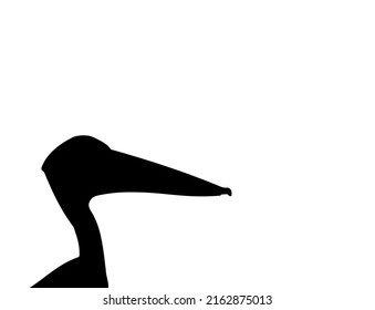The Best Pelican Silhouette Background Vector Image For Pelican Illustration Design
