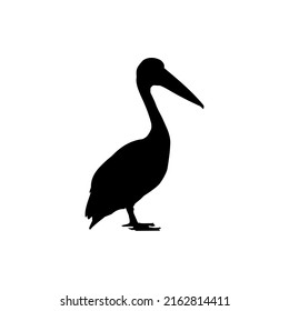 The Best Pelican Silhouette Illustration Vector Image For Pelican Design. Pelican Bird Image For Animals Design.