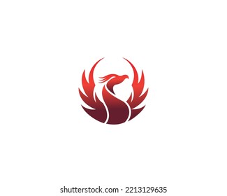 Best Phoenix Bird Logo Design Vector Template Concept.