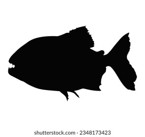 Best Piranha Silhouette Image With White Background.