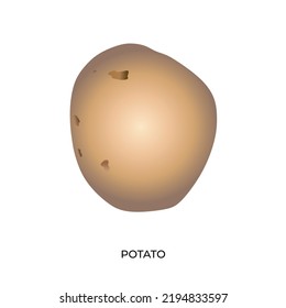 The best Potato vector illustration. Semi realistic cartoon design style. Suitable for many purposes.