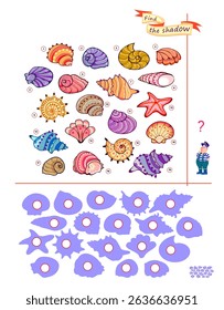 Best puzzles for kids. Can you find the shadow of each sea shell? Write the numbers in circles. Educational game for children. Play online. Task for attentiveness. IQ test. Flat vector illustration.
