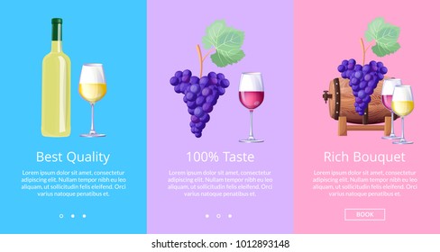 Best quality 100% taste rich bouquet set of posters vector illustration in winemaking concept. Assortment of viticulture products set, place for text