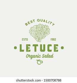 Best Quality Lettuce Abstract Vector Sign, Symbol or Logo Template. Premium Vegetable or Green Food Emblem. Hand Drawn Salad Leaves Sketch Illustration with Retro Typography. Isolated.