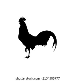 The Best Rooster Silhouette Image With White Background. Great to use as a rooster icon on websites and apps.
