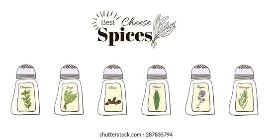 Best seasoning for cheese. A collection of stand-alone web design elements on a white background