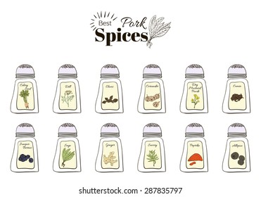 The best seasoning for Pork. A collection of stand-alone web design elements on a white background