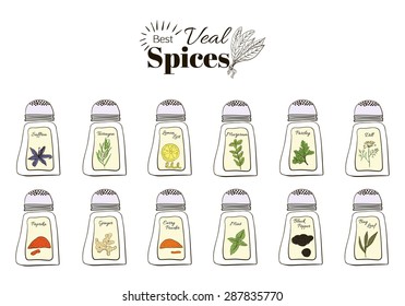 Best seasoning for Veal. A collection of stand-alone web design elements on a white background