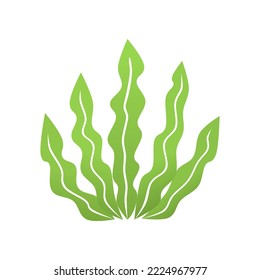 Best Seaweed Icon Vector or Green Seaweed Icon Vector Isolated on White Background. best seaweed icon. Suitable for use as elements of the underwater world, especially for illustrations of seaweed.