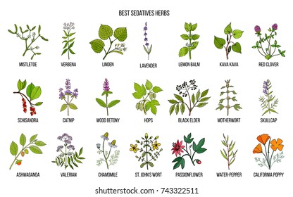 Best sedatives herbs. Hand drawn vector set of medicinal plants