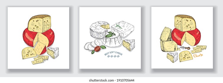 Best Soft Cheese. Several Types Of Cheese Together. Card Vector Illustration. Vintage Design Hand Drawn Sketch. Line Art Style.