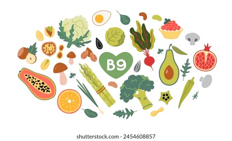 Best sources of vitamin B9 foods, cartoon style. Fruits, vegetables and nuts set. Isolated vector illustration, hand drawn, flat design