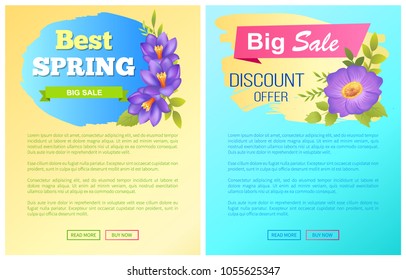 Best spring big sale advertisement label crocus purple flowers with yellow center vector illustration web posters set. Emblem with blossom of plants