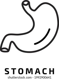 The Best Stomach Organ Icon Vector, illustration logo template in trendy style