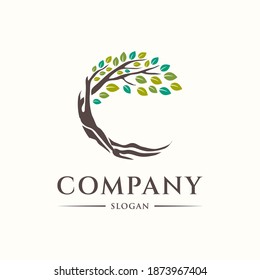 Best tree logo collections, perfect for company logo or branding. initial C tree design template