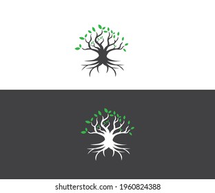  best tree logo collections, perfect for company logo or branding