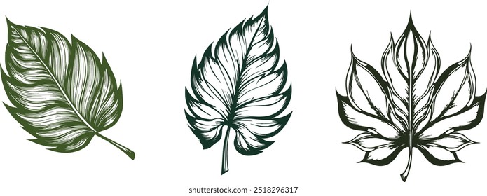 El mejor diseño de Vector en el año
