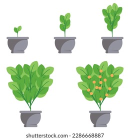 best vector illustration vase and tree design, perfect for advertising, social media post, wallpaper, and other graphic needs.