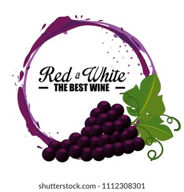best wine grapes label