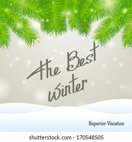 The best winter superior vacation on snow and gray background with spruce branch