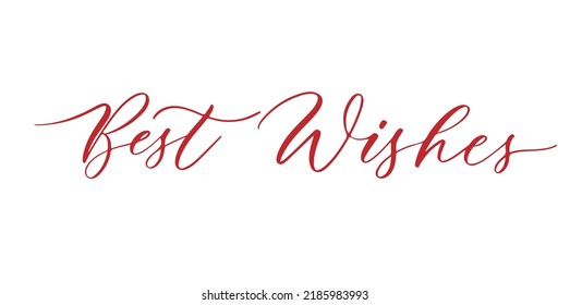 Best wishes - hand lettering inscription to winter holiday design, black and white ink calligraphy
