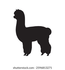 Best-Selling Alpaca Silhouette for Trending and Popular Designs - Alpaca Vector - Alpaca Icon
