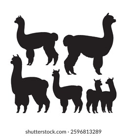 Best-Selling Digital Alpaca Silhouette for Farm and Rural Enthusiasts - Alpaca Vector - Alpaca Icon
