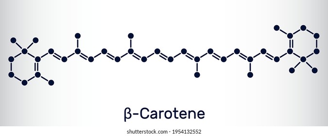 Beta Carotene, provitamin A, is an organic red-orange pigment in plants and fruits. Skeletal chemical formula. Vector illustration