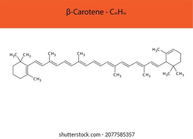 β estructura esquelética y fórmula molecular beta-caroteno. Biomolécula orgánica, ilustración vectorial aislada