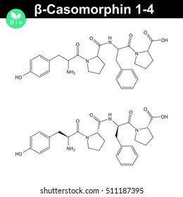 Beta Casomorphin 1-4 molecule illustration, casomorphin class opioid peptide, scientific vector 2d illustration, isolated on white background, eps 8