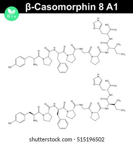 Beta Casomorphin 5 molecular structure, casomorphin class opioid peptide, casein part, scientific vector 2d illustration, isolated on white background, eps 8