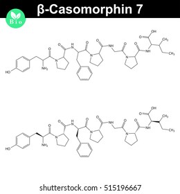 Beta Casomorphin 7 chemical structure, casomorphin class opioid peptide, casein part, scientific vector 2d illustration, isolated on white background, eps 8