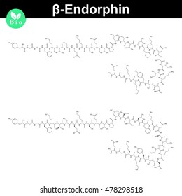 Beta endorphin molecular formula, endogenous morphine compound, 2d chemical vector sign, isolated on white background, eps 8