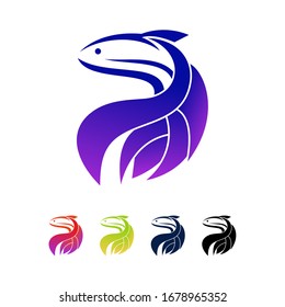 Beta Fish Colorful Logo. Design Vector Template 