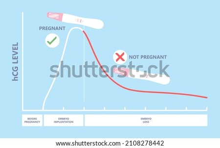 Beta hCG levels blood test at home period of days false result weeks cycle twins missed miscarry lab past In vitro fertilisation IVF sperm baby check egg line molar loss serum care menstruation birth